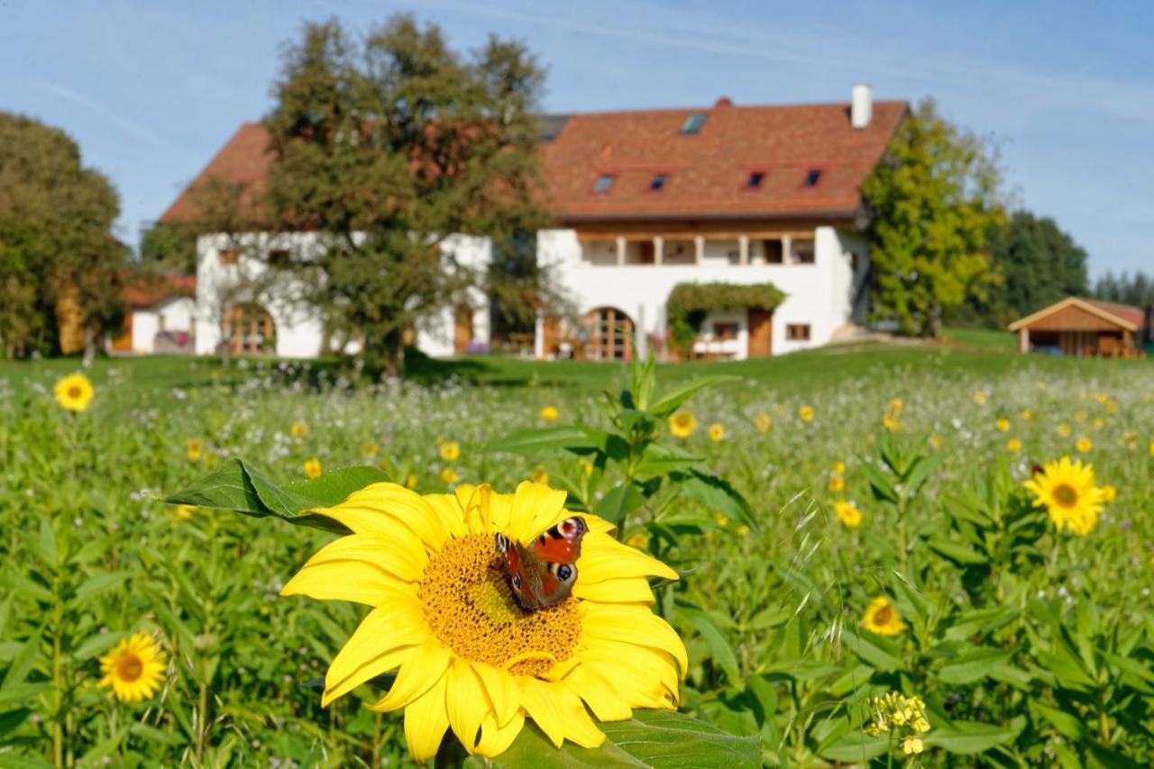 Hagerhof Leilighet Eggstätt Eksteriør bilde